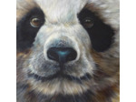 Panda géant
