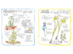 CARNET D'UN VOYAGEUR IMMOBILE DANS UN PETIT JARDIN
