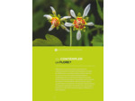 EQUATEUR - LES CLES POUR BIEN VOYAGER - GALAPAGOS