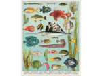 Cavallini 1000 Piece Puzzle, Vintage Aquarium