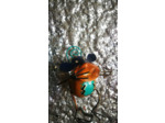 Porte Photo Miniatue Girafe