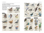 TOUS LES OISEAUX D'EUROPE