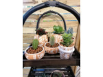 Cache-pot à succulente - bas