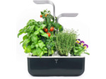 Véritable® Smart (Soft Black Version) - Potager d’Intérieur Fabriqué en France – Jardin Autonome Intelligent avec sa Technologie Adapt’ Light - Livré avec 4 Lingots® SMART Soft Black