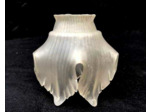Tulipe feuille de vigne basse