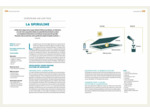 NOMADE DES MERS - LE TOUR DU MONDE DES INNOVATIONS LOW-TECH