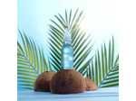 Melvita - Huile de Coco Bio - Soin Visage, Corps et Cheveux - Soin Réparateur Nutrition Intense - Pressée à Froid - Certifié Bio, 100% Naturel, Vegan - Flacon avec Applicateur Précision 50ml