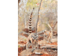 MADAGASCAR - LES CLES POUR BIEN VOYAGER