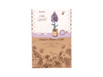 Lilas en Bois