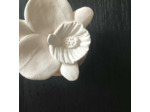 Diffuseur Orchidée