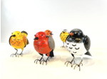 oiseaux boule
