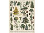Cavallini 1000 Piece Puzzle, Arboretum