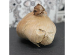 Ail noir en bulbe entier