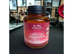 Créatine Monohydrate Vegan 3000 mg – 125 Gélules | 100% Pure | Sans Gluten, Sans Lactose | Prise de Masse, Force, Performance | Fabriqué en France