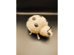 Coccinelle
