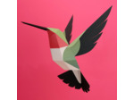 Colibri à Queue Large