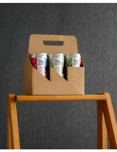 Pack 6 kombuchas BIO