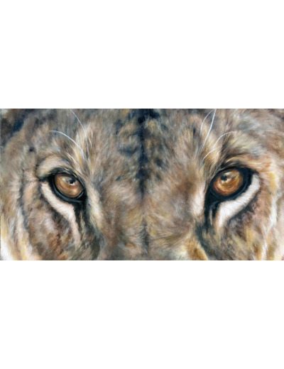 Lionne Masaï Mara
