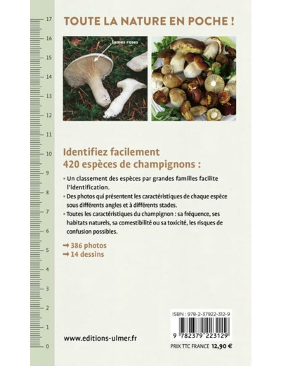 CHAMPIGNONS