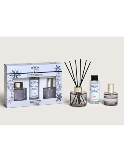 Duo parfumé Bouquet & Spray Maison BERGER Pétillance Exquise
