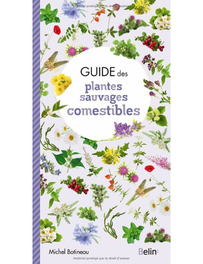 GUIDE DES PLANTES SAUVAGES COMESTIBLES