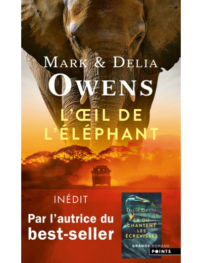 L'OEIL DE L'ELEPHANT