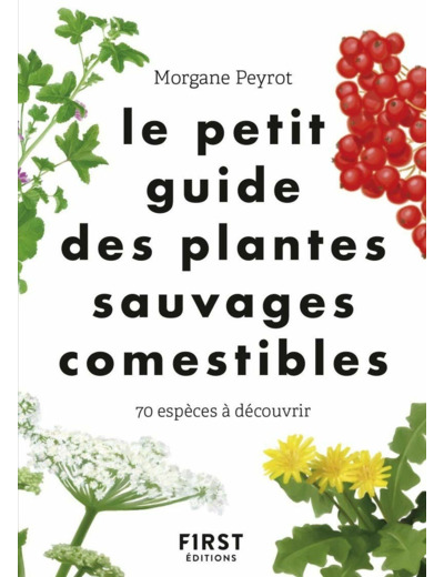 LE PETIT GUIDE DES PLANTES SAUVAGES COMESTIBLES
