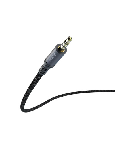 DEVIA Câble USB-C ou Lightning Vers Jack 3,5mm 1m (Noir)