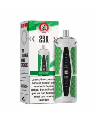 Puff Chicha - Spearmint - 25K Starbuzz