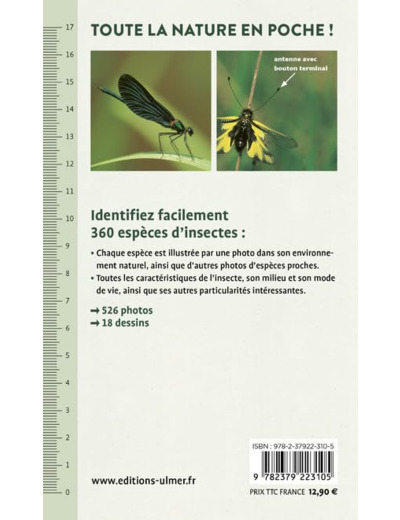 INSECTES