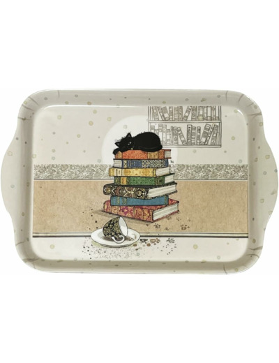 KIUB Mini Plateau Paris Tour Eiffel - Motif chat endormi sur des livres- mélamine de qualité - Taille Mini1