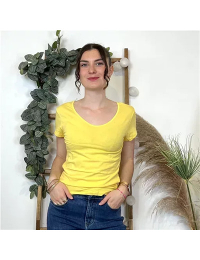 K319- T-Shirt Coline (T36-T44) (jaune)