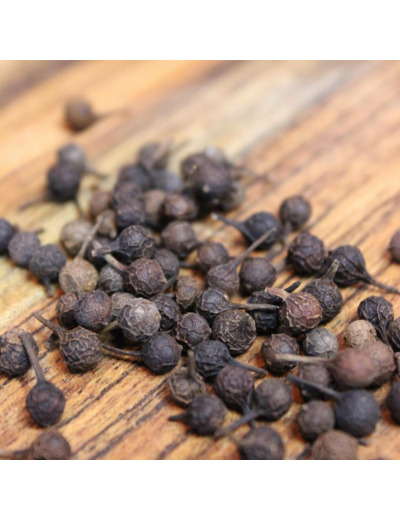 Poivre à queue Cubèbe