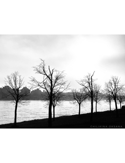 Loire saumuroise en noir et blanc