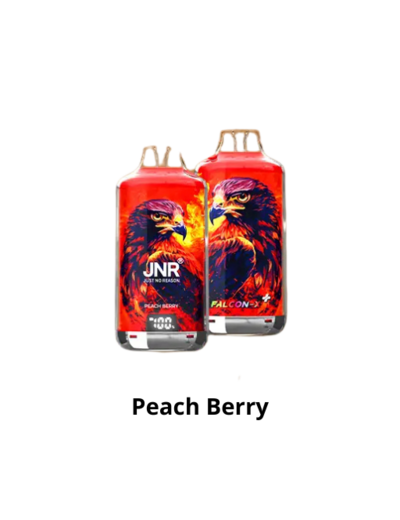 Puff 28k - JNR Falcon X + - Peach Berry