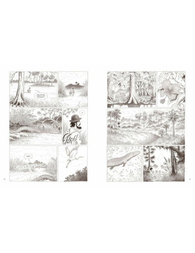 AU COEUR DES SOLITUDES