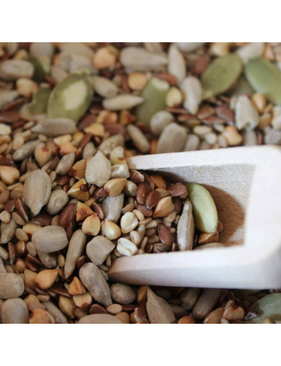 Assemblage Graines gourmandes