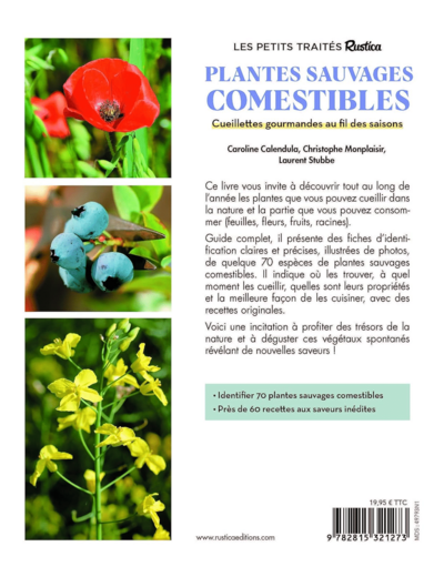 LE PETIT TRAITE RUSTICA DES PLANTES SAUVAGES COMESTIBLES - CUEILLETTES GOURMANDES AU FIL DES SAISONS