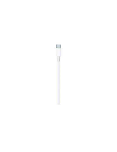 APPLE Câble USB-C vers USB-C 2m