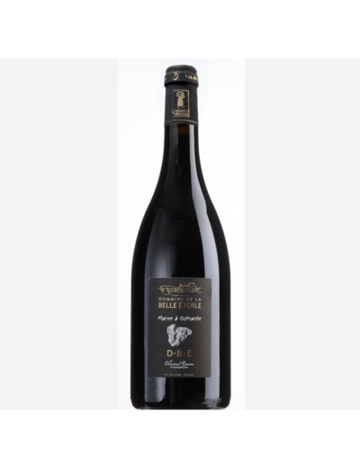 AOP ANJOU VILLAGES BRISSAC MARNE A OSTRACEES DOMAINE LA BELLE ETOILE 2017