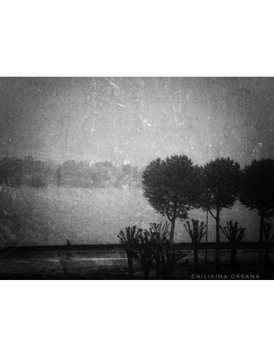 Le vieux fleuve