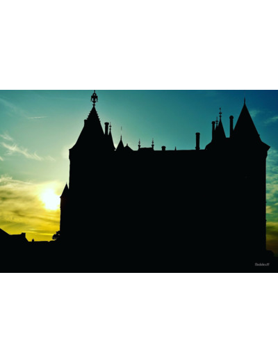 Château de Saumur en ombre chinoise