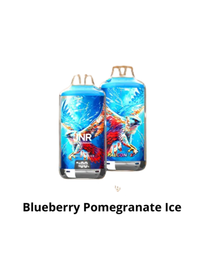 Puff 28k - JNR Falcon X + - Blueberry Pomegranate Ice