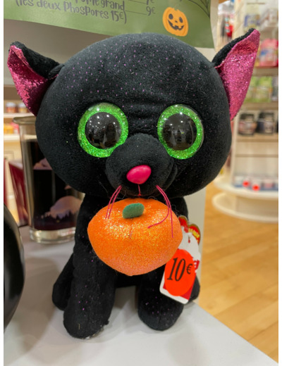 Peluche - Chat - Potion