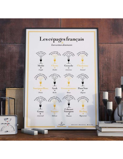 Affiche Les Cépages et leurs aromes