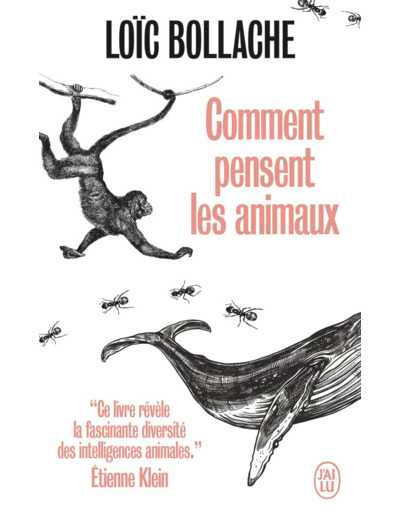 COMMENT PENSENT LES ANIMAUX