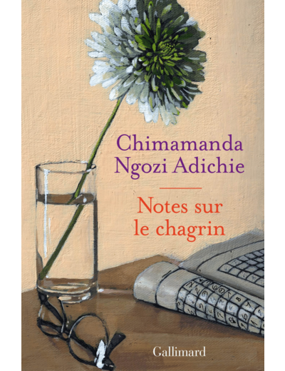 NOTES SUR LE CHAGRIN