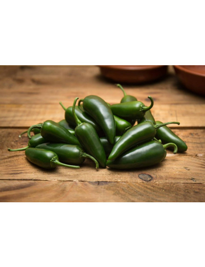 Jalapeño vert - Frais - Légèrement piquant