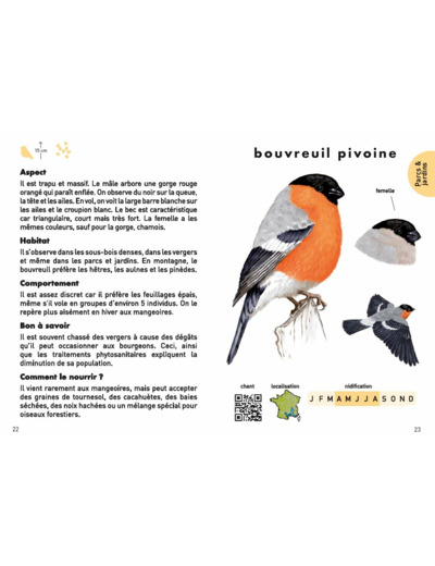 LE PETIT GUIDE DES OISEAUX - 70 ESPECES A DECOUVRIR