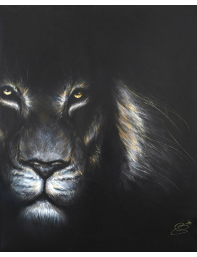 Lion noir